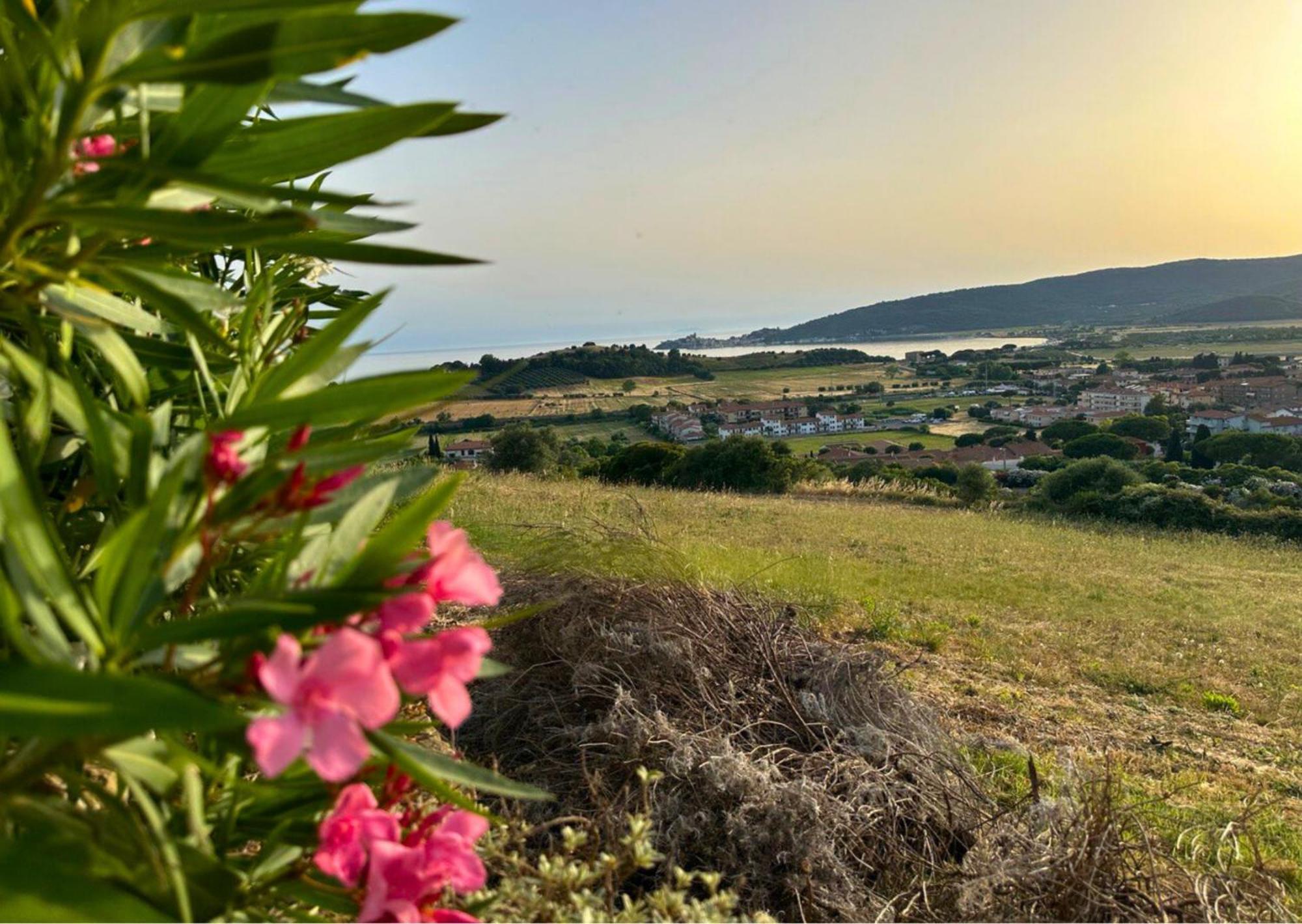 Agriturismo La Vista - Adults Only 方特布兰达 外观 照片