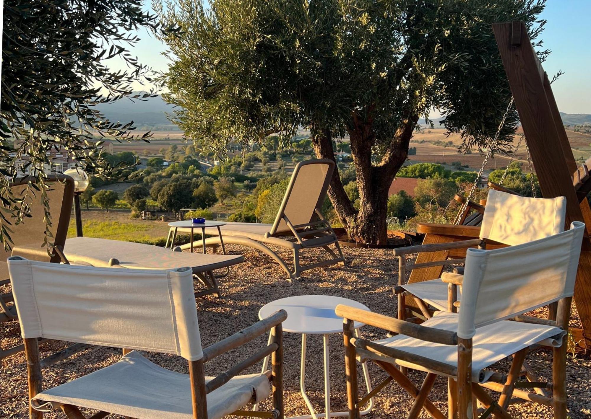 Agriturismo La Vista - Adults Only 方特布兰达 外观 照片