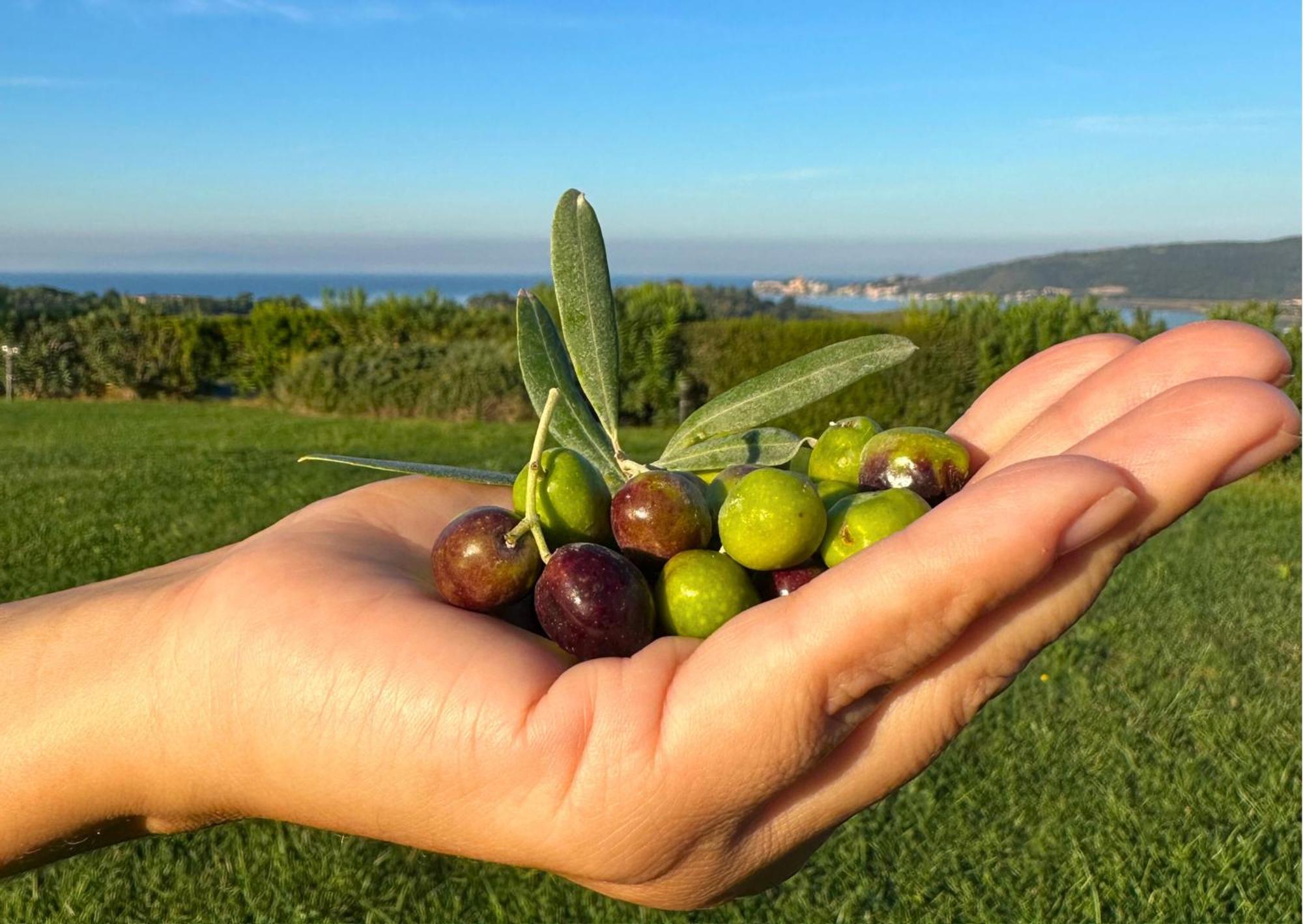 Agriturismo La Vista - Adults Only 方特布兰达 外观 照片
