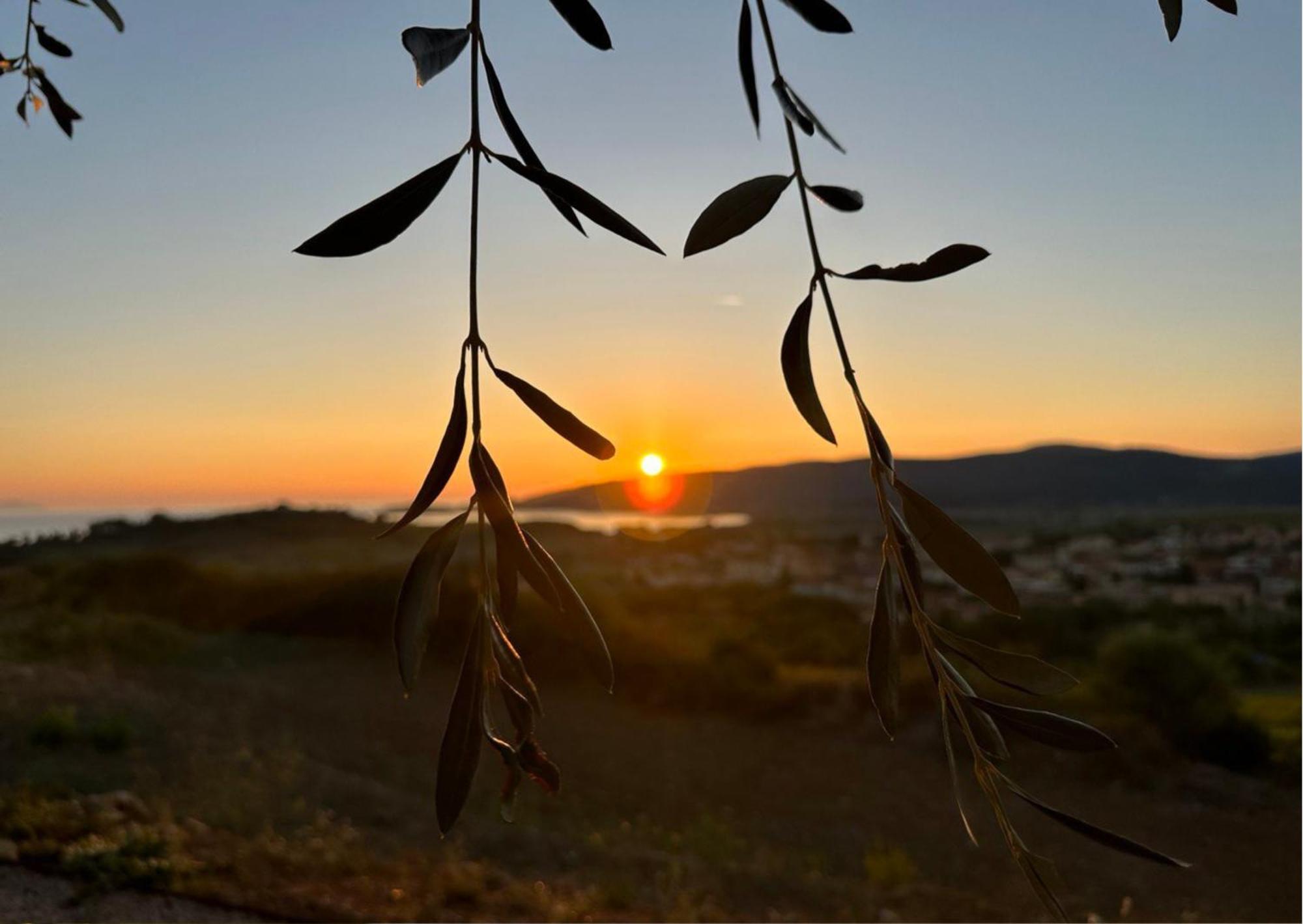 Agriturismo La Vista - Adults Only 方特布兰达 外观 照片